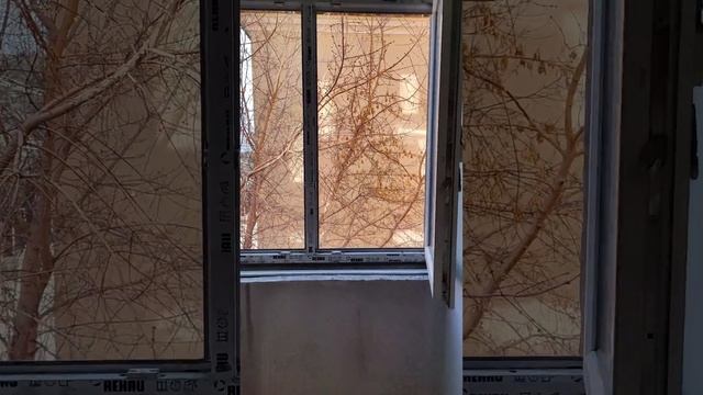 Сталинка на Маяковского в Иркутске смотреть онлайн