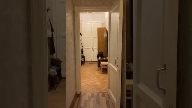 2 комнатная квартира. Каменноостровский 27 смотреть онлайн