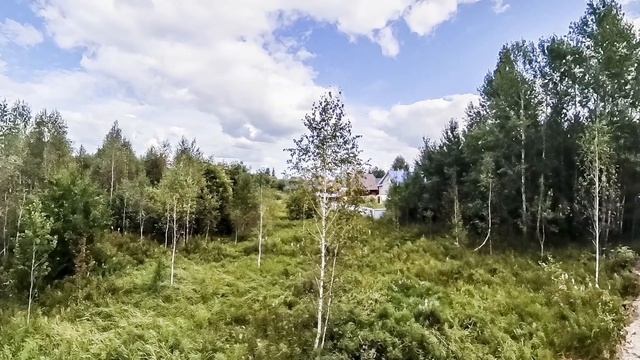 1235898 смотреть онлайн