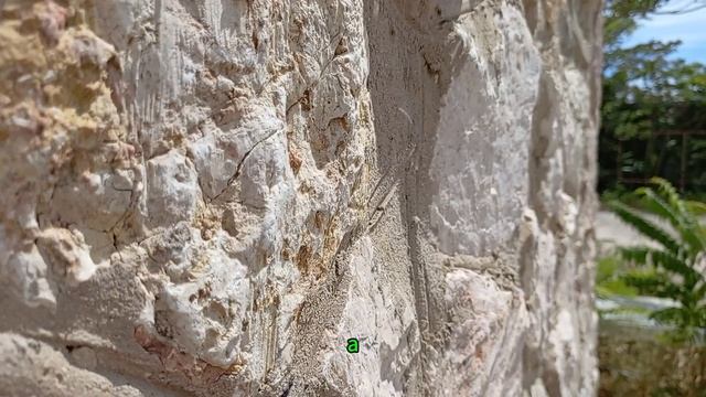 Хитрая свекровь заселила родственников в квартиру Марины, и вот как пришлось выкручиваться невестке смотреть онлайн