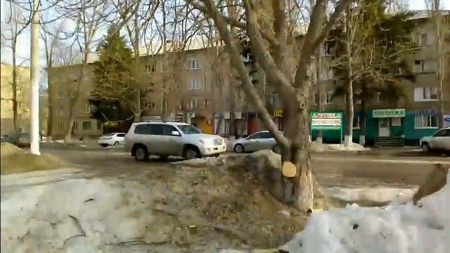 Вырубка в сквере по К. Маркса, 20.03.2021 г. смотреть онлайн