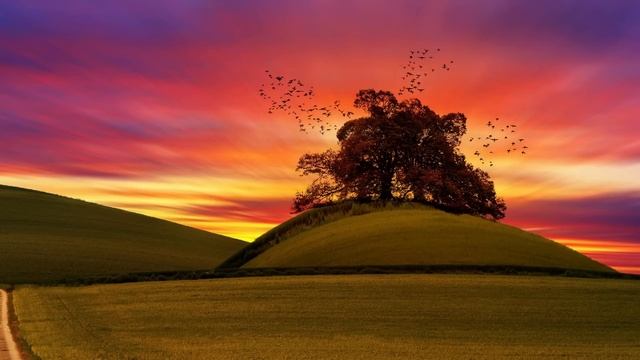 Я отдала квартиру сыну и теперь буду жить у вас. Заявила свекровь, тогда невестка решила сделать та смотреть онлайн