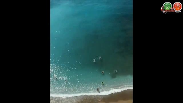 Обзор отеля UTOPIA WORLD HOTEL 5* Плюсы и Минусы...