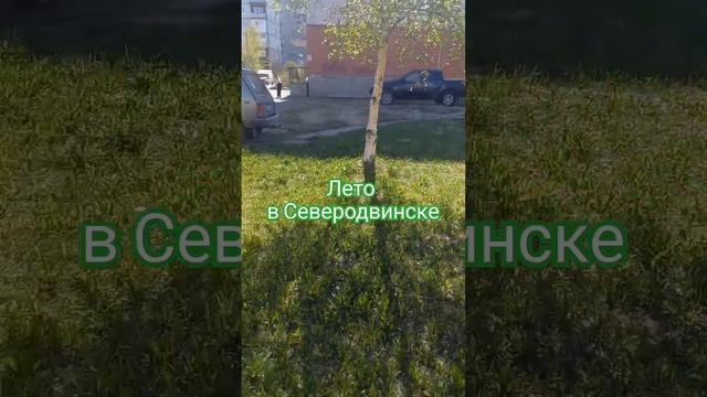 #северодвинск смотреть онлайн