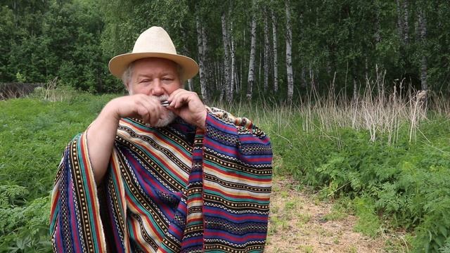 Варган. Использование фонем во время игры на варгане смотреть онлайн