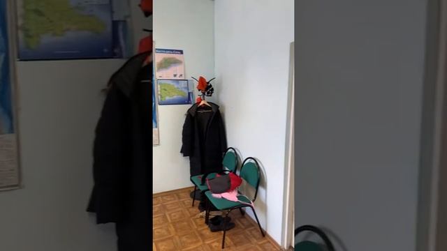Офис в Центре Владимира 18 кв.м. смотреть онлайн