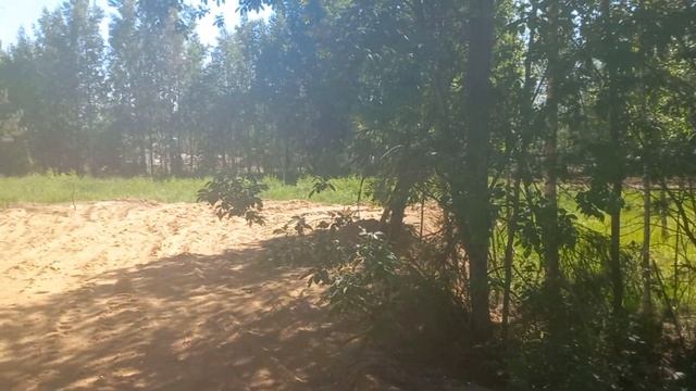Д. Касимово, 19 соток ИЖС смотреть онлайн