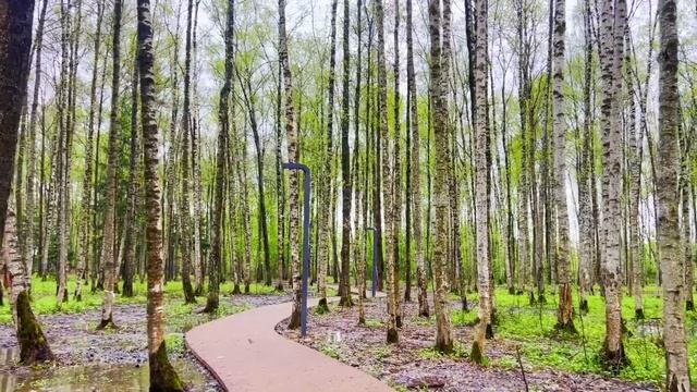 Доедай, что осталось у меня в тарелке! Или у нас денег много? Возмутился безработный муж. смотреть онлайн
