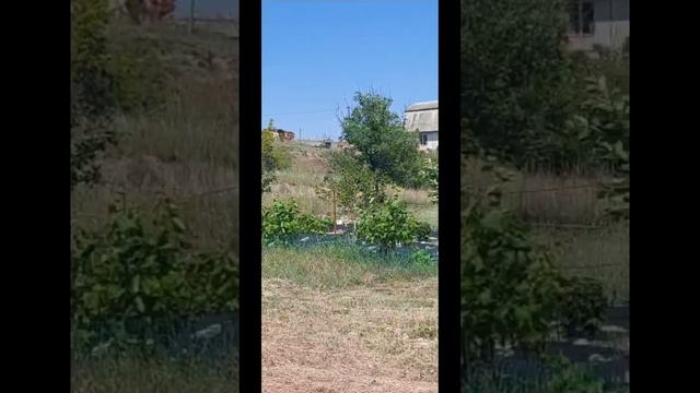 Продажа участка СТ Кипарис Коктебель смотреть онлайн