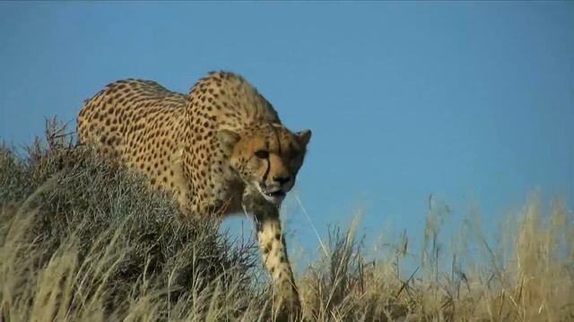 Own It 1 Start_it_7_1