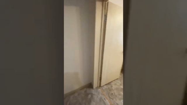 Жк светлый куюки смотреть онлайн