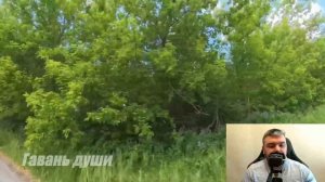 Рейс в прошлое