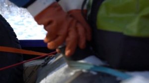 ЗИМНИК АРКТИКА опасные дороги РОССИИ. Автопутешествия по СЕВЕРУ на автомобиле TOYOTA. Влог #10