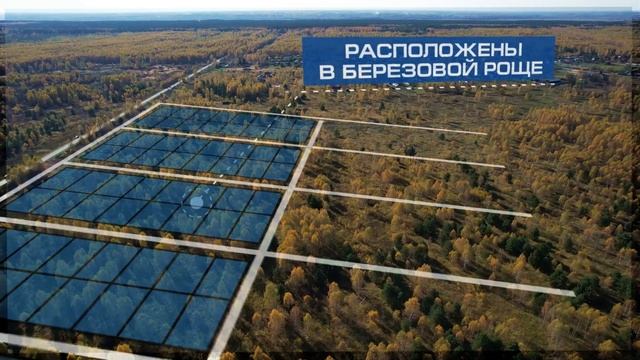 Земельные участки в с. Ярустово Спасский район смотреть онлайн