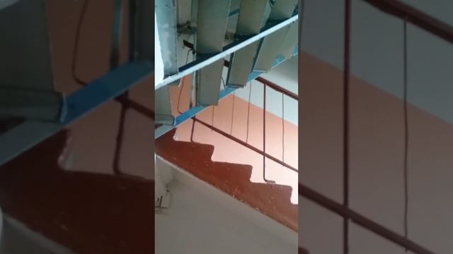 Затопленный подъезд на улице Краснореченской, 187 смотреть онлайн