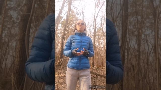 Практика 5.04.2020 смотреть онлайн