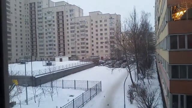 Квартира в аренду в Санкт-Петербурге смотреть онлайн