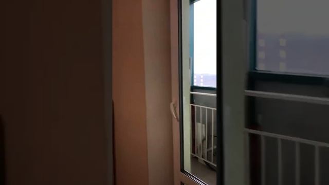 Красногорск, б-р Космонавтов 11, студия, 27т #аренда #риэлтор #89672085581 смотреть онлайн