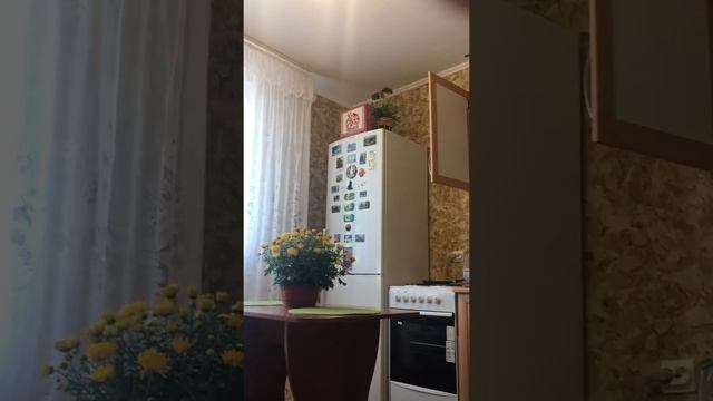 video 31 07 18 08 44 3 ЦИАН 1 смотреть онлайн