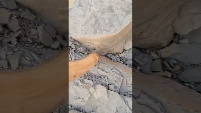 Разговор с камнем. Мысхако смотреть онлайн