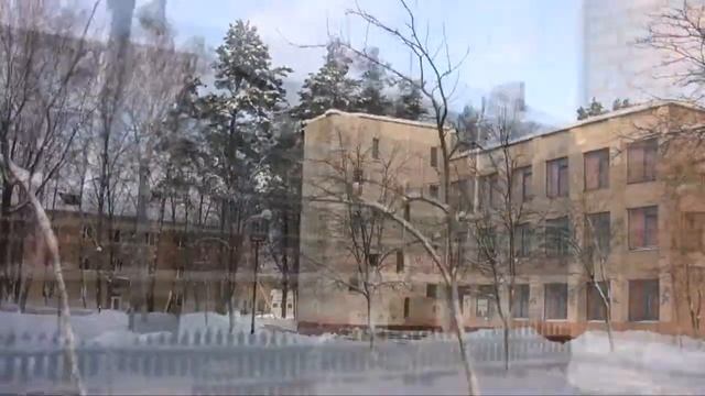 Kollej смотреть онлайн