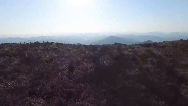 Namaste India (India-Korea Yoga School) 2nd Asian Yoga Therapy Conference 밀양 한 인도 문화밸리 영문 смотреть онлайн