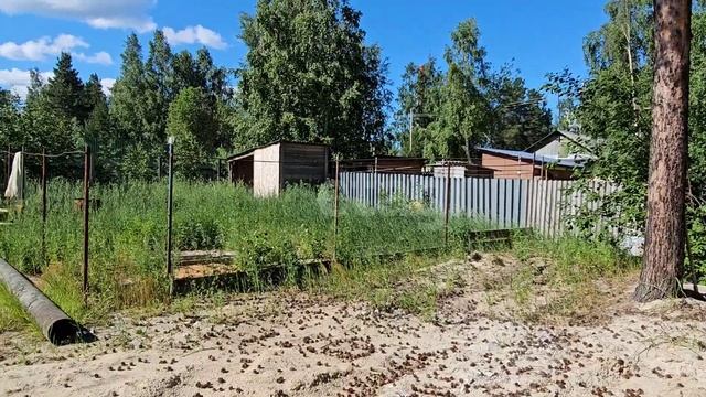 Кедровый Осенняя