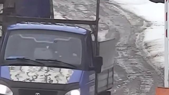 Злодеи срывают цепь СНТ "Аллея Перова" смотреть онлайн
