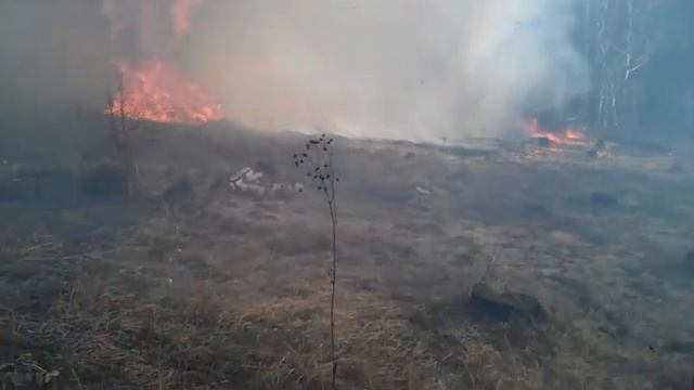 Nikolov Posad forest fire - 1 May 2013 смотреть онлайн