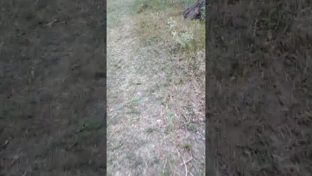 Астрахань Беспредел на берегу , сволочи !!!! смотреть онлайн