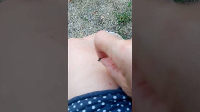 ну такие спокойные пчелки смотреть онлайн