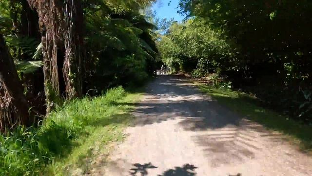 Afternoon ride 7 Nov 2021... through New Plymouth to Te Rewa Rewa Bridge смотреть онлайн