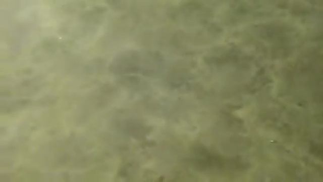 MY MAC LIPSTICK COLLECTION-part 2 смотреть онлайн