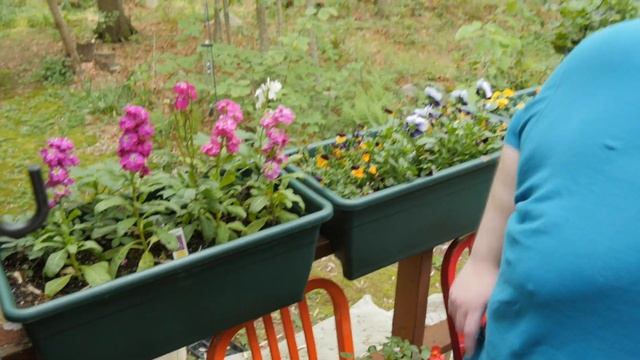 Juntin' Around Outdoors 7: Garden Deck смотреть онлайн