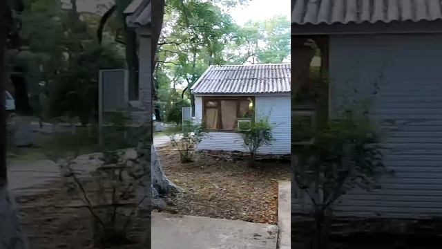 Геленджик нашли дешёвый вариант жилья у моря смотреть онлайн