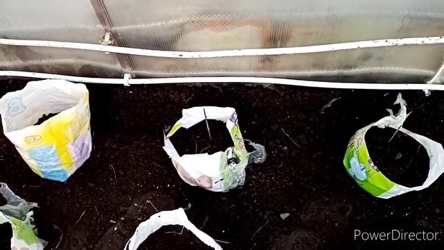 Высаживаем рассаду в отапливаемую теплицу. Часть 1 смотреть онлайн