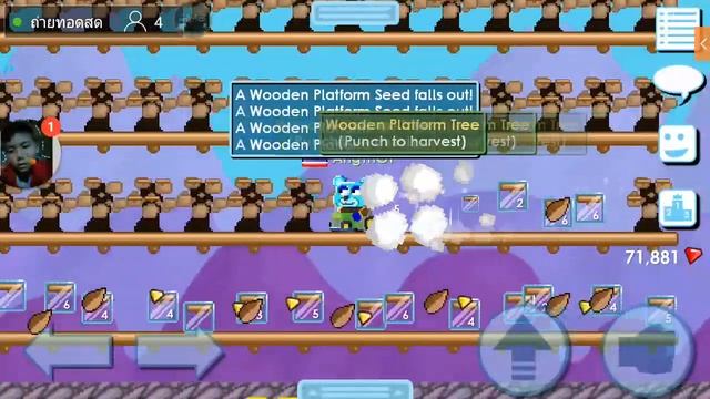 Growtopia Th Live : ฟามคุยเรื่อยเปื่อย смотреть онлайн