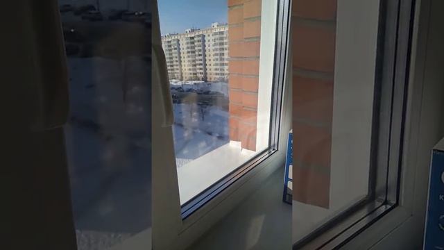 Квартира на Родниках. Город Новосибирск смотреть онлайн