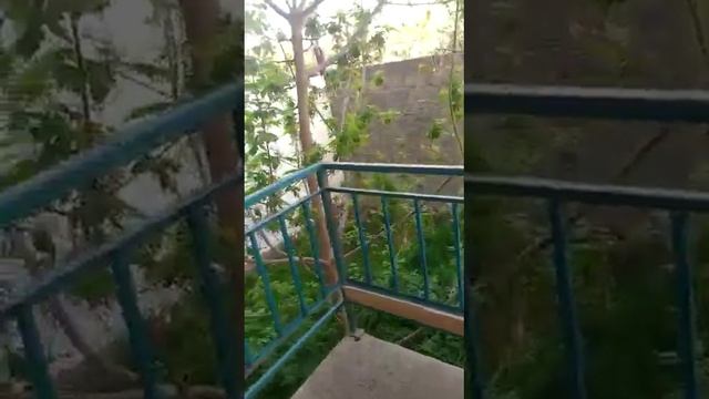 продается квартира в Дагестане смотреть онлайн