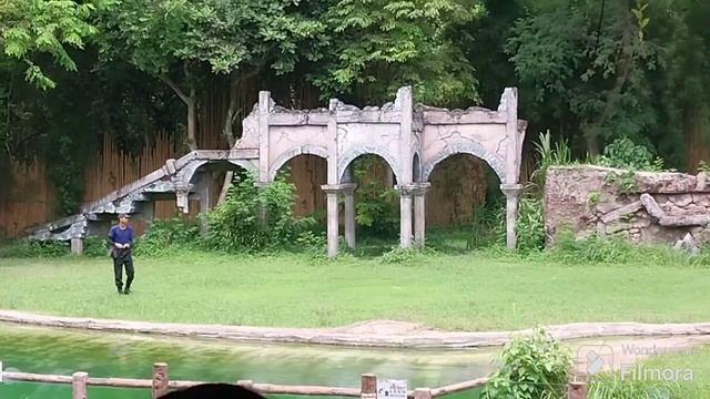 PART 2 // TOUR BALI SAFARI AND MARINE PARK // ATRAKSI HARIMAU // 3 MARET 2024 смотреть онлайн