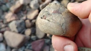 22 08 24 Поиск камней  Красный агат и другие находки