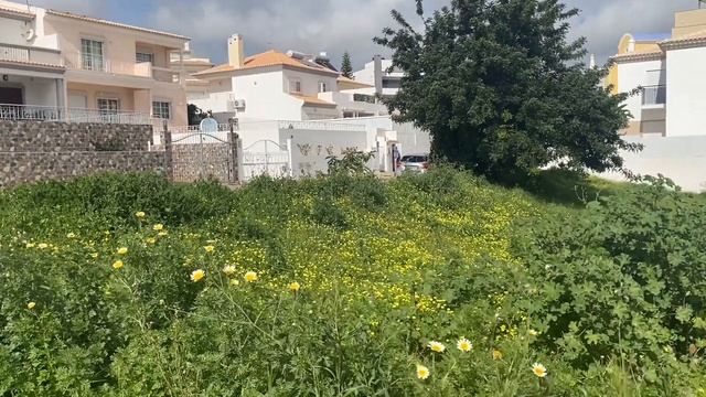 STOP BULLYING LENY HAPPY на YouTube МАРЬЯМ АГРЕССИВНЫЙ МАНИПУЛЯТОР #нарциссизм #lenahappy #ленахэпп