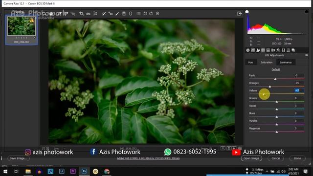 Tutorial Edit Wallpaper iPhone (Moody Dark Green Preset) смотреть онлайн