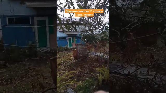 Продажа участка 11 соток в Поти #поти #poti #ფოთი #малтаква #КупиУчасток #BatumiBirdEstate смотреть онлайн