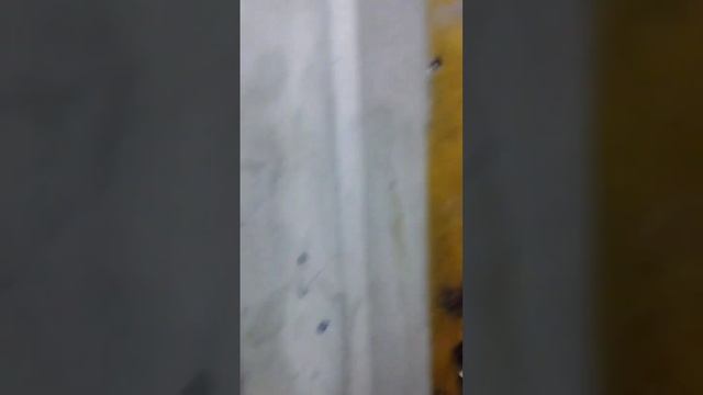 Москва, Николая Химушина 3 корп1 смотреть онлайн