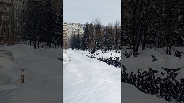 Голуби. Казань. 10-ый микрорайон. Мечеть смотреть онлайн