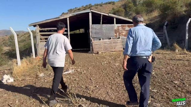 YOK BÖYLE BAHÇE !!! 1 TANE DOMETES 1,5 KİLO GELİYOR !!! 1 ÇUVAL PATATESTEN 37 ÇUVAL ALDIM смотреть онлайн