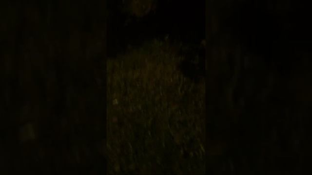 Рома в депрессии смотреть онлайн