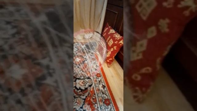 КВАРТИРА ВАШЕЙ МЕЧТЫ. SnayREX and Michura (САНЯ МИША) смотреть онлайн