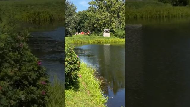 Обзор Московского района! Санкт-Петербург. #Недвижимостьспб #риэлтор #московскийрайон #районыспб смотреть онлайн